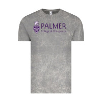 Cloud Rock Palmer College of Chiropractic Vintage Tee - artisFamous