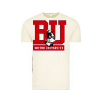 Vintage Arctic boston university terriers Vintage Tee - artisFamous