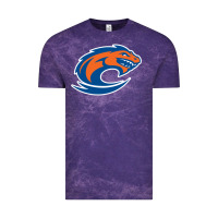 Cloud Purple clayton state loch orange Vintage Tee - artisFamous