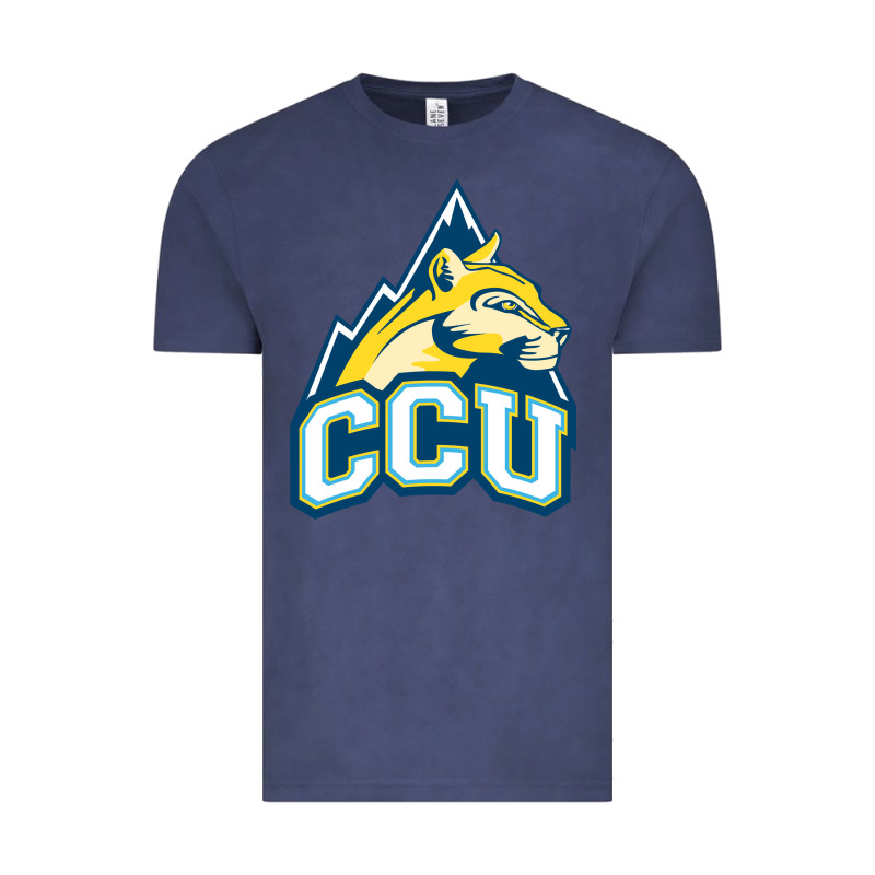 Colorado Christian Vintage Tee by artisFamous | Teevron