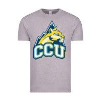 Vintage Zinc colorado christian Vintage Tee - artisFamous