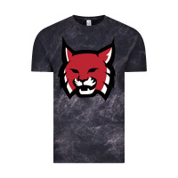 Cloud Black Rhodes College Athletic Vintage Tee - artisFamous