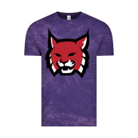 Cloud Purple Rhodes College Athletic Vintage Tee - artisFamous