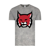 Cloud Rock Rhodes College Athletic Vintage Tee - artisFamous