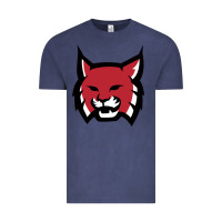 Vintage Denim Rhodes College Athletic Vintage Tee - artisFamous