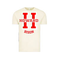 Vintage Arctic howard 1867 university Vintage Tee - artisFamous