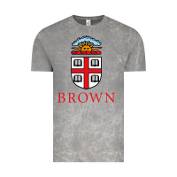 Cloud Rock brown university Vintage Tee - artisFamous