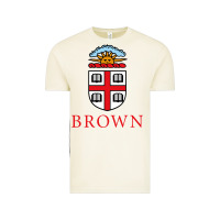 Vintage Arctic brown university Vintage Tee - artisFamous