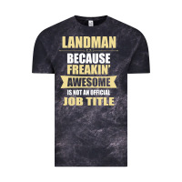 Landman Because Freakin' Awesome Isn't A Job Title Vintage Tee | Teevron