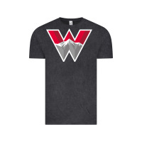 Vintage Black Western Colorado Gift Vintage Tee - artisFamous
