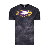 Cloud Black elmira college Vintage Tee - artisFamous