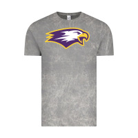 Cloud Rock elmira college Vintage Tee - artisFamous