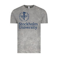 Cloud Rock stockholm university Vintage Tee - artisFamous