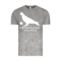 Cloud Rock Best Pigeons Playing Ping Pong Music Vintage Tee - artisFamous