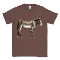 Chestnut american mammoth jackstock donkey Classic Tee - LillyAllenDesigns