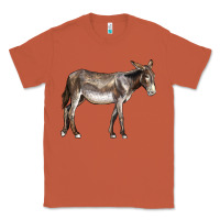 Copper american mammoth jackstock donkey Classic Tee - LillyAllenDesigns