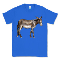 True Royal american mammoth jackstock donkey Classic Tee - LillyAllenDesigns