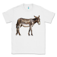 White american mammoth jackstock donkey Classic Tee - LillyAllenDesigns