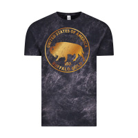 Buffalo Gold Native American - Bison Vintage Tee | Teevron