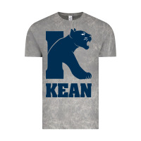 Cloud Rock kean university Vintage Tee - artisFamous