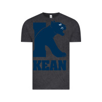 Kean University Vintage Tee | Teevron