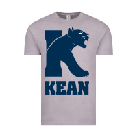 Vintage Zinc kean university Vintage Tee - artisFamous