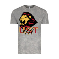 Cloud Rock university of saint thomas spirit Vintage Tee - artisFamous