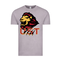 Vintage Zinc university of saint thomas spirit Vintage Tee - artisFamous