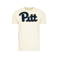 Vintage Arctic university of pittsburgh Vintage Tee - artisFamous
