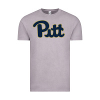 Vintage Zinc university of pittsburgh Vintage Tee - artisFamous