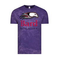 Cloud Purple bard college athletics Vintage Tee - artisFamous