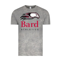 Cloud Rock bard college athletics Vintage Tee - artisFamous
