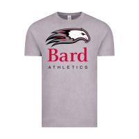Vintage Zinc bard college athletics Vintage Tee - artisFamous