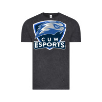 Vintage Black concordia university wisconsin Vintage Tee - artisFamous
