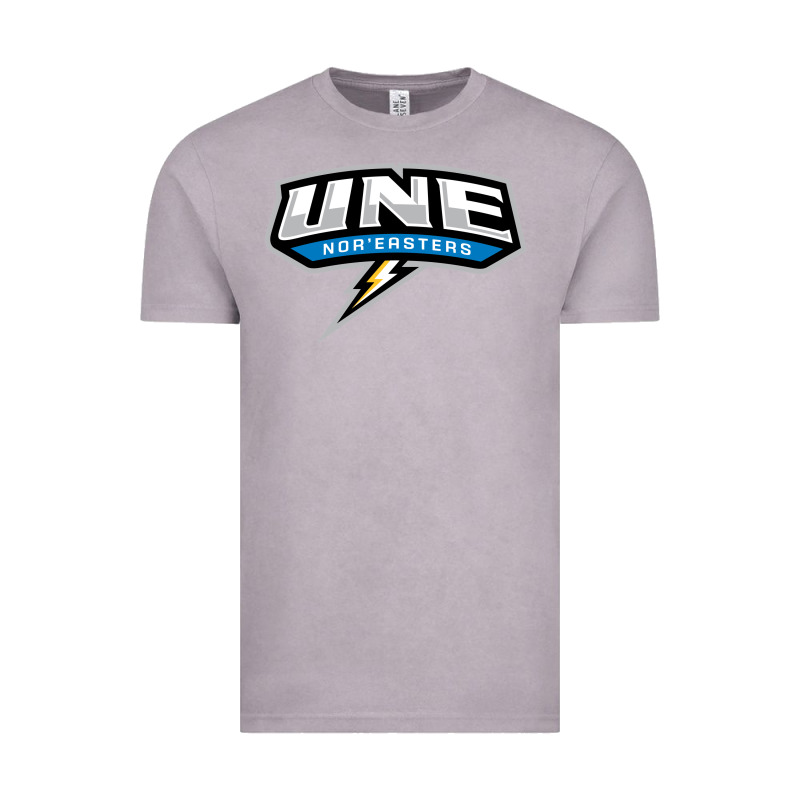 New England University Vintage Tee by artisFamous | Teevron