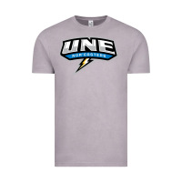 Vintage Zinc new england university Vintage Tee - artisFamous