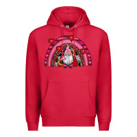 Cardinal valentines day gnomes rainbow Premium Hoodie - RanaPortraitStore