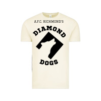 Vintage Arctic lassos diamond dogs classic Vintage Tee - DesigneFamous