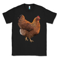 Black new hampshire red chicken Classic Tee - LillyAllenDesigns