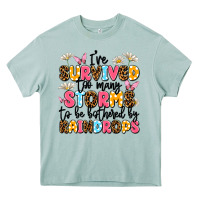 I've Survived Too Many Storms Heavy Core Tee | Teevron