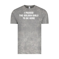 Cloud Rock i paused the golden girls to be here Vintage Tee - DesigneFamous