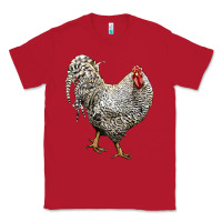 Red dominique rooster Classic Tee - LillyAllenDesigns