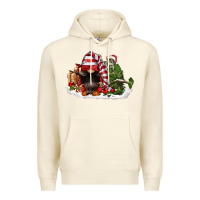 Sandshell christmas gnome and tree Premium Hoodie - FaDigitalArtStudio