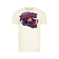 Vintage Arctic us, buccaneers, des moines art Vintage Tee - DesigneFamous