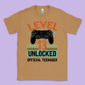 Level 13 Unlocked Official Teenager 13th Birthday Classic Tee Designed By Bettercallsaul