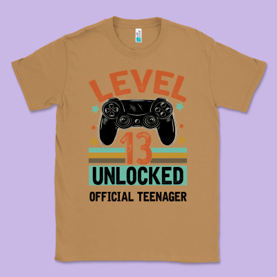 Level 13 Unlocked Official Teenager 13th Birthday Classic Tee Designed By Bettercallsaul