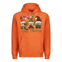 Carrot Merry Christmas Gnomes Premium Hoodie - BundleAndBundleShop