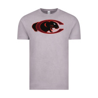 Vintage Zinc claflin, education sport Vintage Tee - linhVisuals