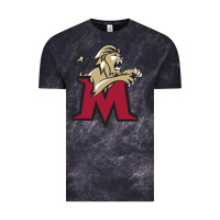 Cloud Black lions, molloy college Vintage Tee - linhVisuals