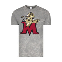 Cloud Rock lions, molloy college Vintage Tee - linhVisuals